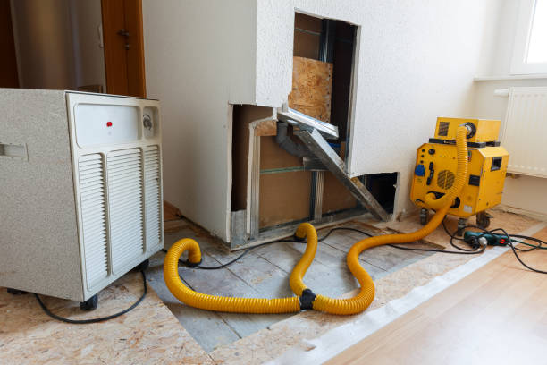 Best Airborne Mold Testing  in West Modesto, CA